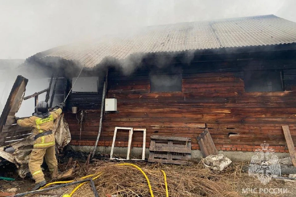 Площадь пожара составила около 237 «квадратов». Фото: ГУ МЧС России по НСО
