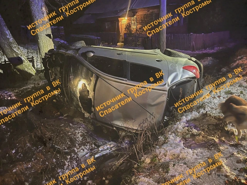 Фото: ОГБУ "Пожарно - Спасательная служба" Костромской области.