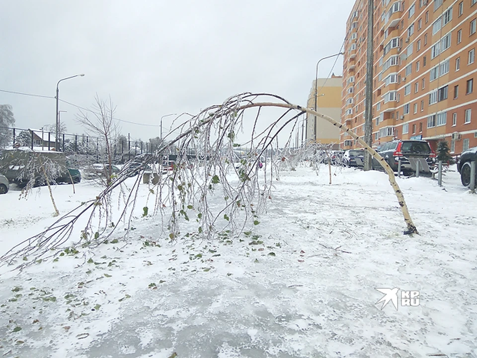 Непогода идет в Свердловскую область