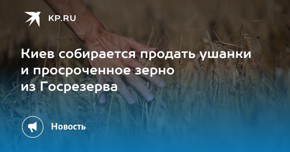 Киев собирается продать ушанки и просроченное зерно из Госрезерва - KP.RU