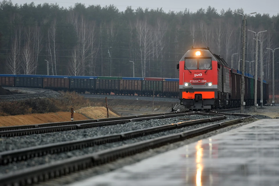 В Рязанской области произошел сход 19 вагонов грузового поезда.