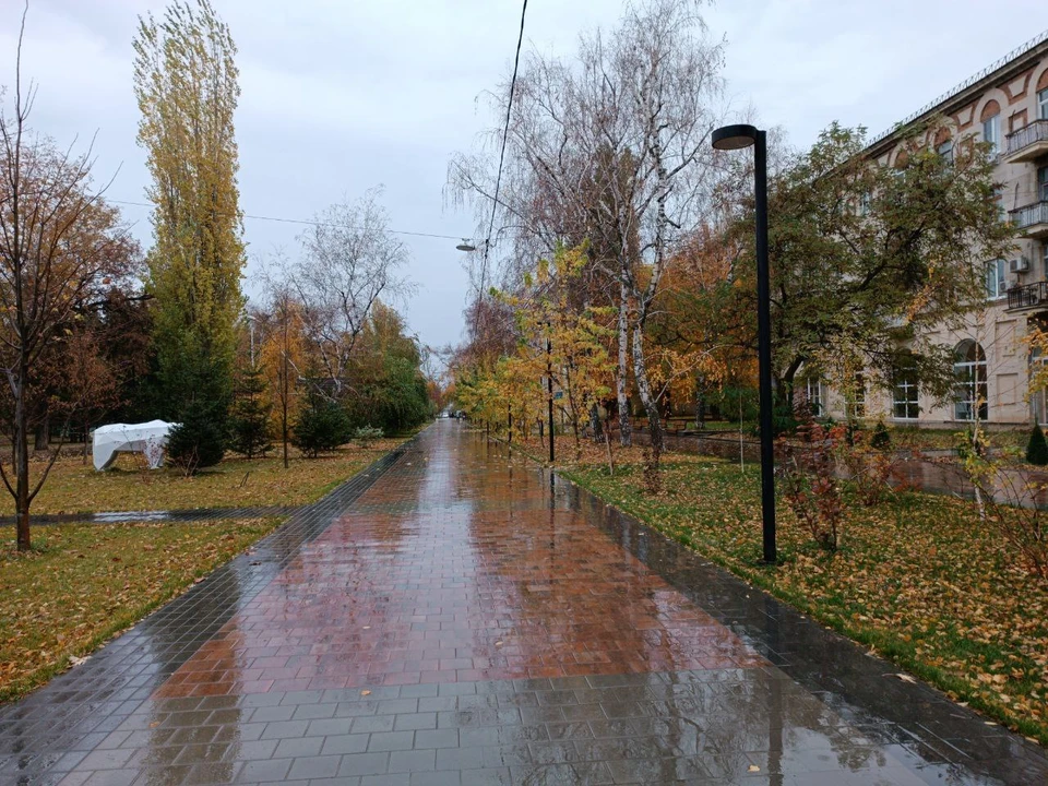 В Волгограде обещают дожди.