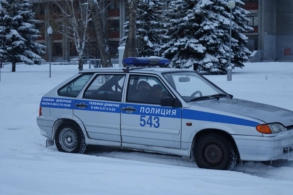 В Новокузнецке полицейские привлекли к ответственности мать несовершеннолетнего ребенка, который управлял автомобилем.