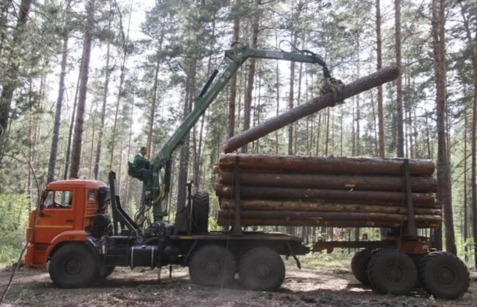 Прокуратура обязала предпринимателя убрать отходы лесопереработки в Смоленской области.
