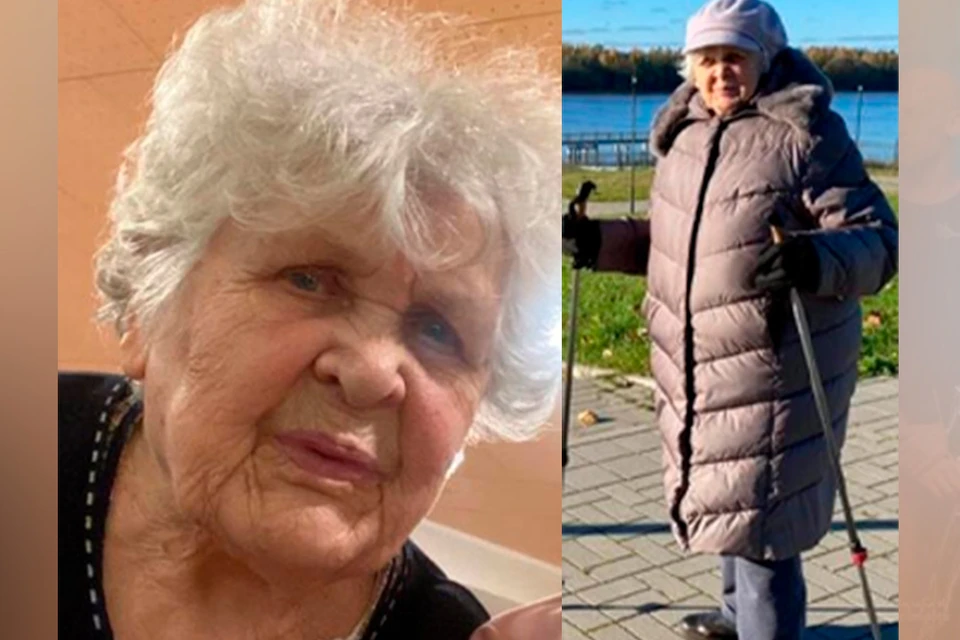 Без вести пропавшую 82-летнюю пенсионерку сутки ищут в Петербурге. Фото: ЛизаАлерт
