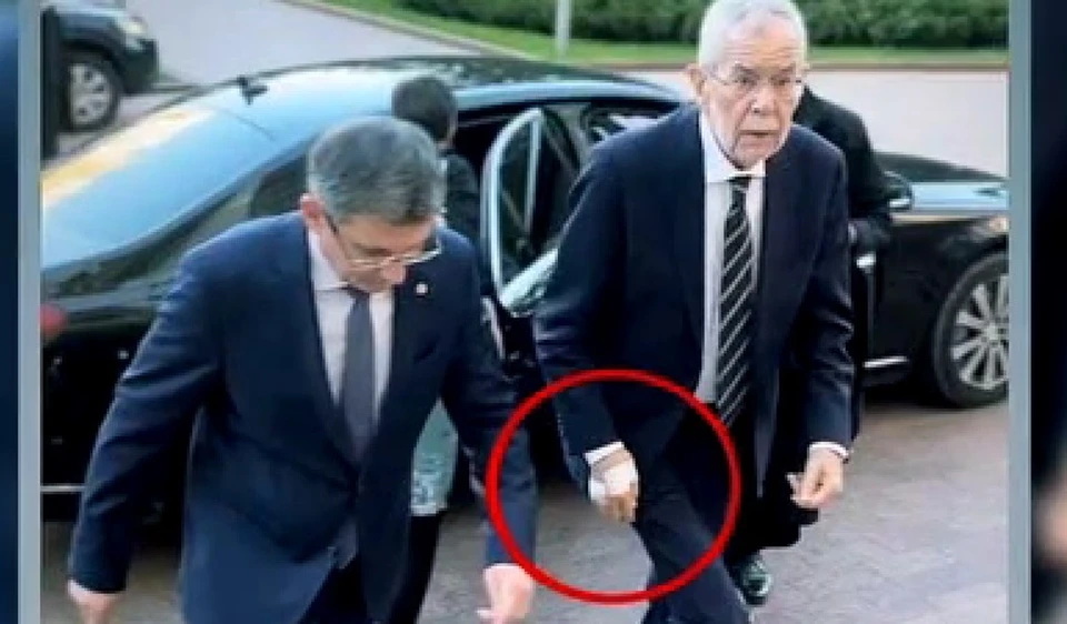 Президент Австрии получил травму после встречи с собакой Санду. Фото: скриншот видео