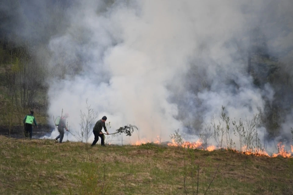 За сутки в Херсонской области потушили два пожара