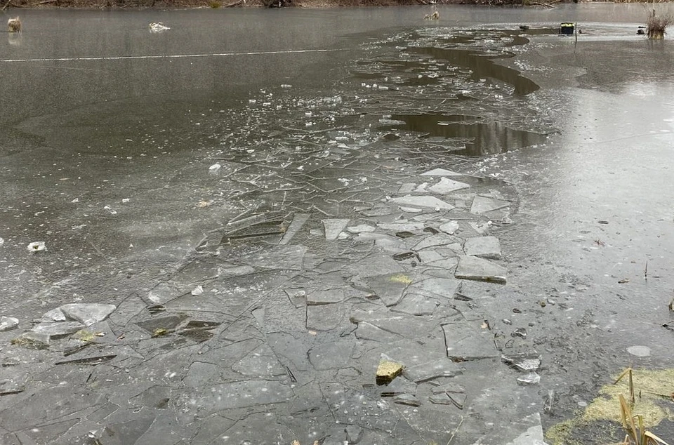 Лёд на пруду оказался слишком тонким