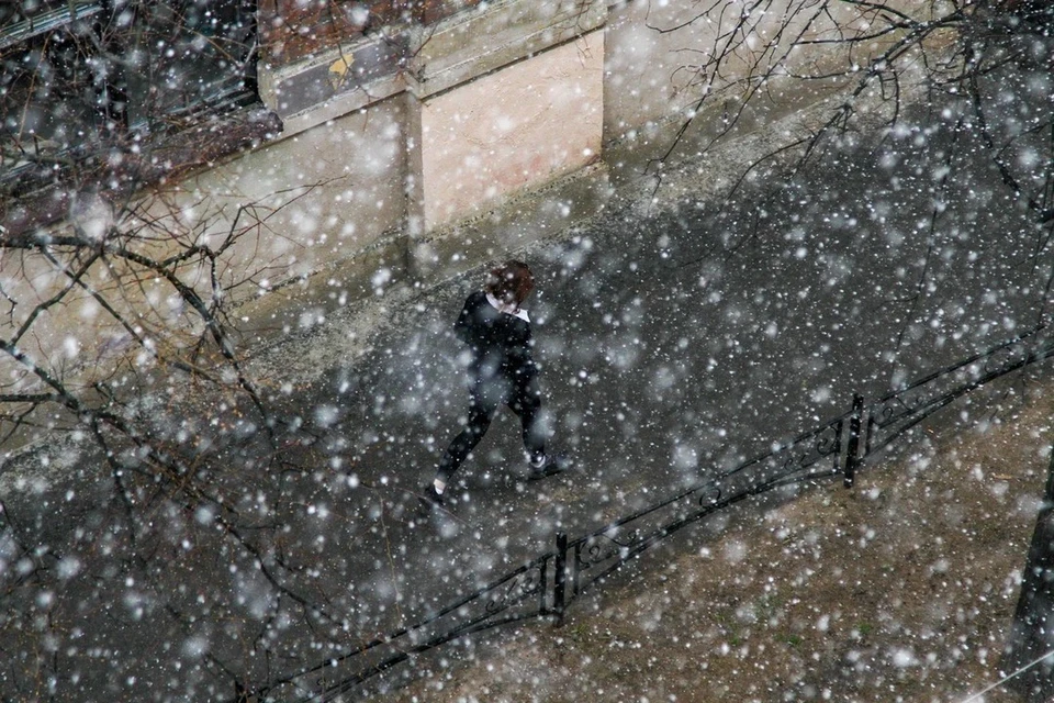 Небольшой снег ожидается в Петербурге 21 ноября.