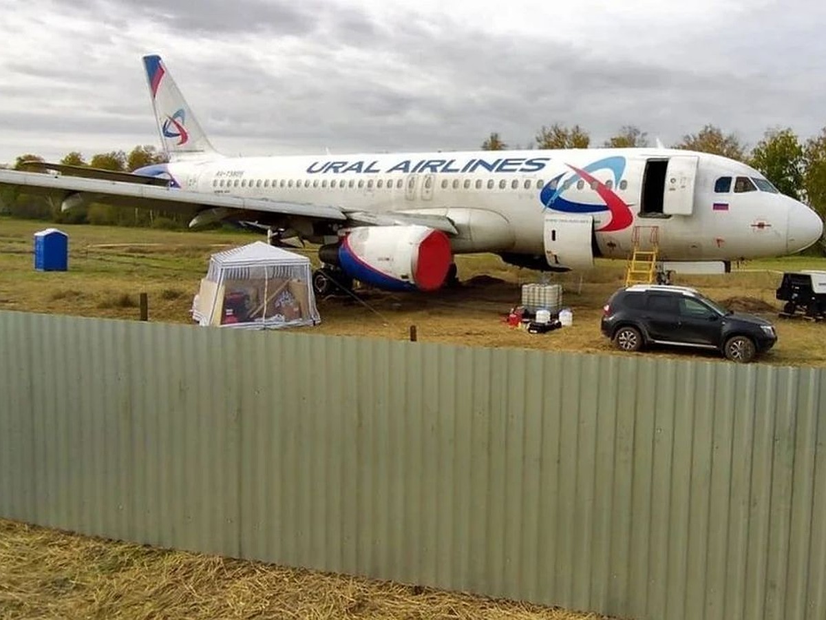 валидатор уральские авиалинии. маршрутная квитанция уральские авиалинии. номер авиабилета уральские авиалинии. уральские авиалинии душанбе. уральские авиалинии (ural airlines).