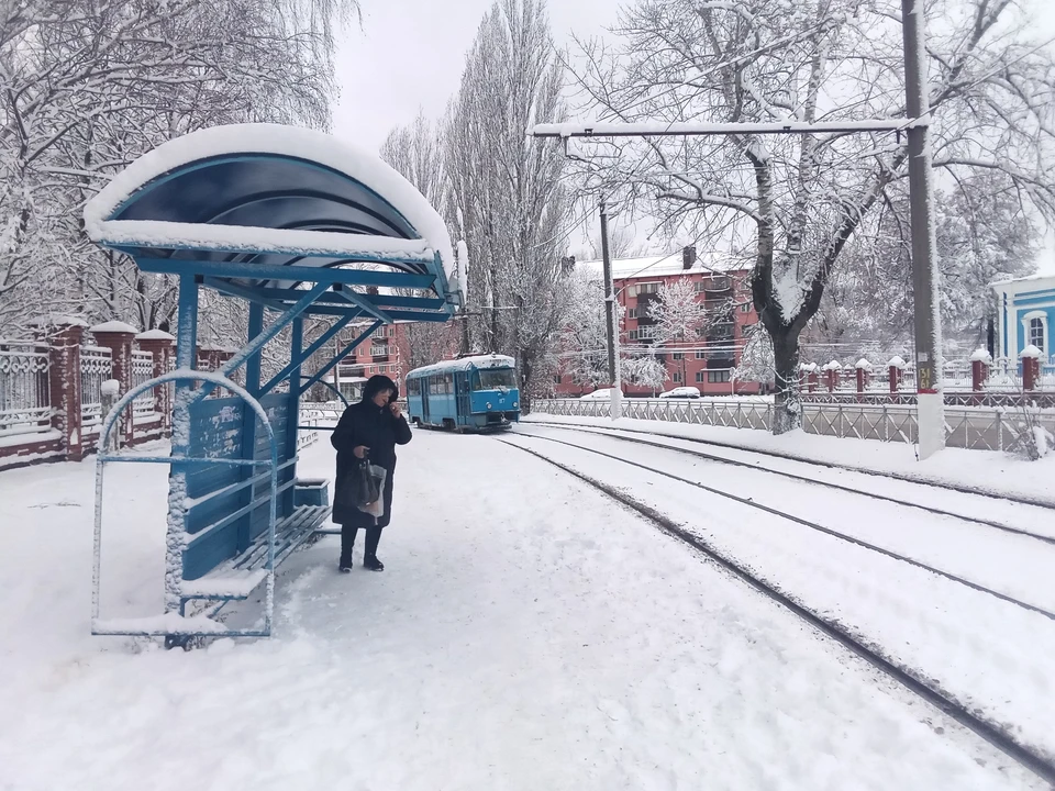 В регионе прогнозируют усиление ветра