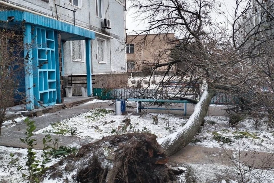 В Энергодаре ураганный ветер вырвал деревья у подъезда многоквартирных домов. ФОТО: Эдуард Сеновоз