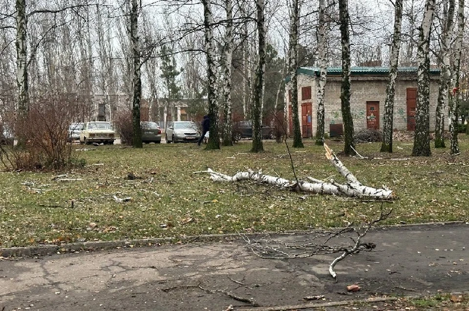 В ночь с 26 на 27 ноября на территорию Донецкой Народной Республики обрушилась непогода