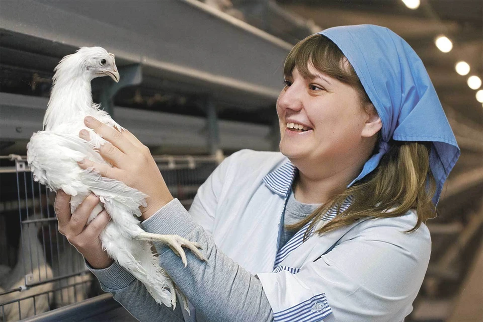 Недавно в компании появилась первая полностью женская бригада отловщиков птицы.