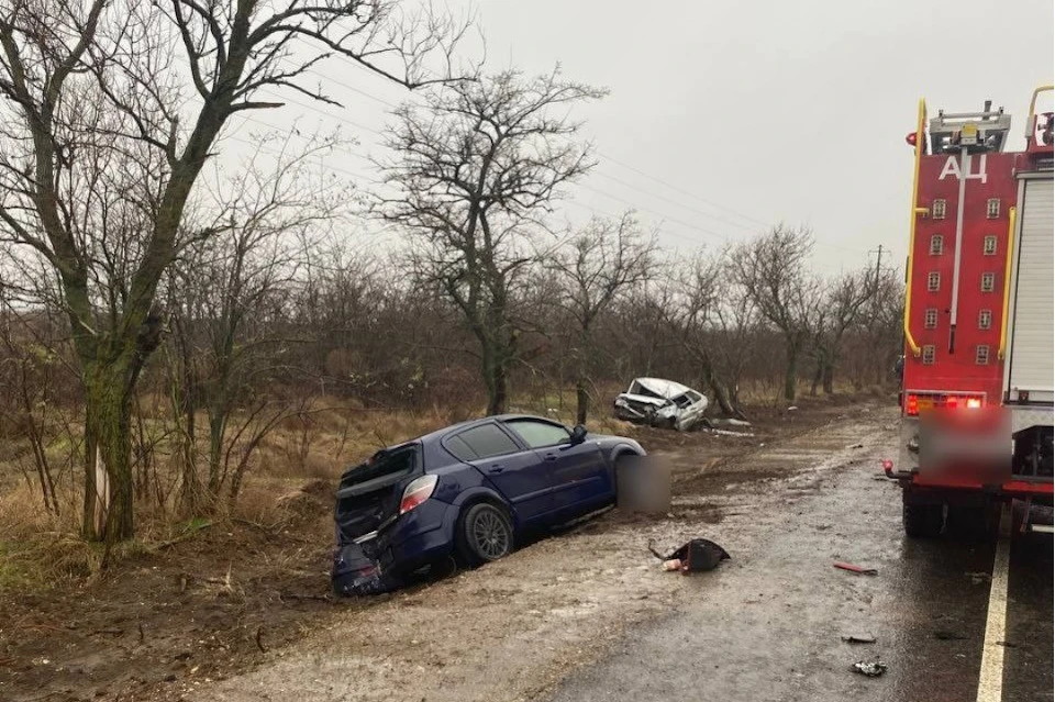 В Херсонской области при столкновении иномарок пострадали два человека Фото: ВУ ГУ МВД России по Херсонской области