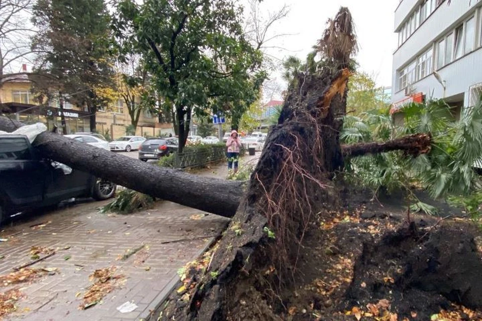 С 26 ноября спасатели ликвидируют последствия шторма.