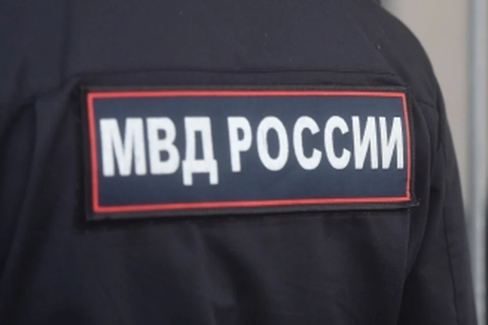 Из Новосибирской области выдворят 48 нелегалов