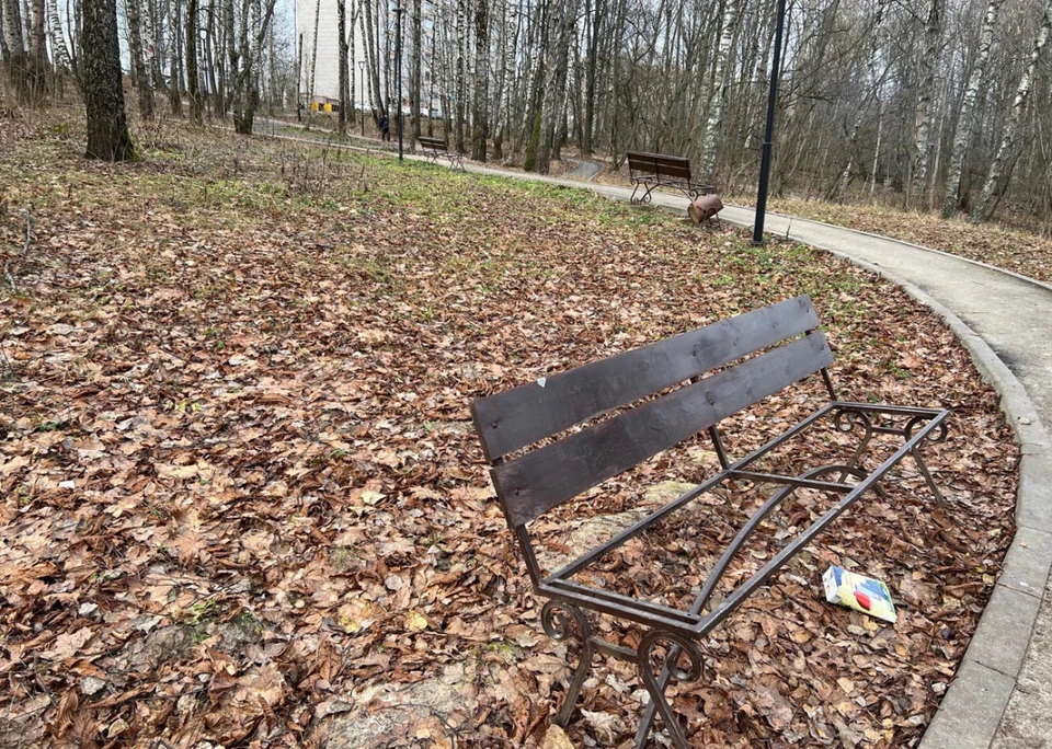 Глава Смоленска попросил смолян не ломать лавочки. Фото: пресс-служба администрации города.