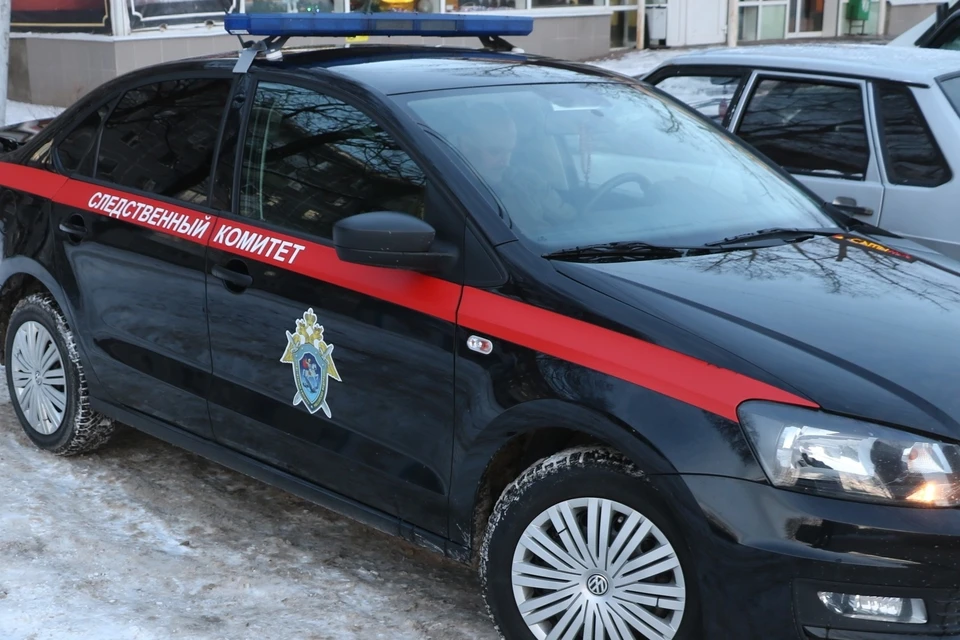 Покушение на убийство 5-летней девочки совершил пьяный рязанец.