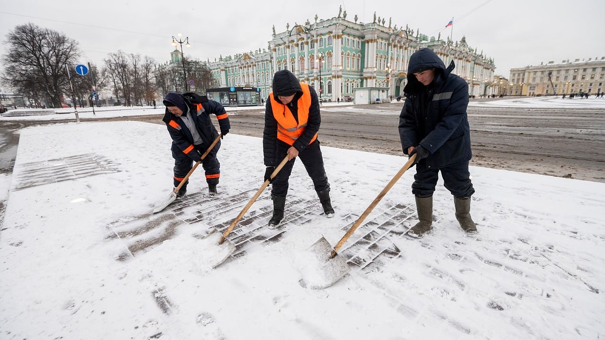 Нет добровольцев, нет и свободных лопат: Что стало с проектом «Дворник-шеринг»,  который запустили в Петербурге два года назад - KP.RU