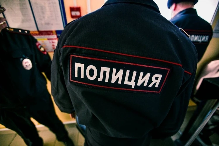 Похитителей восьмилетней Златы задержали в деревне Калужской области
