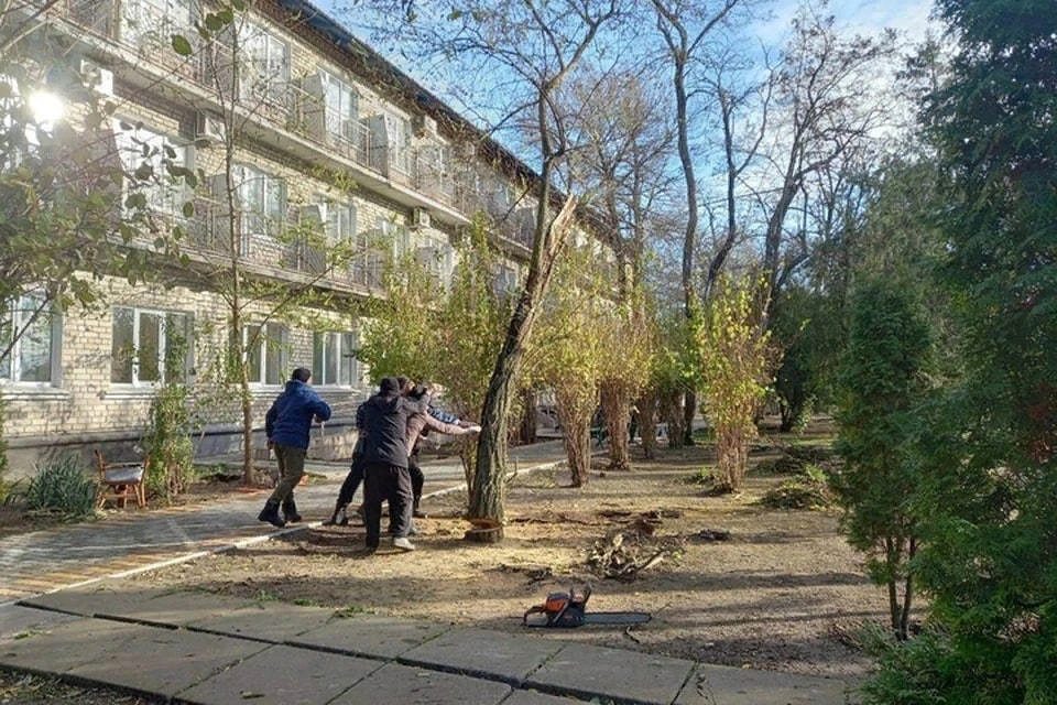 Наведение порядка в Херсонской области продолжается. ФОТО: администрация Херсонского городского округа