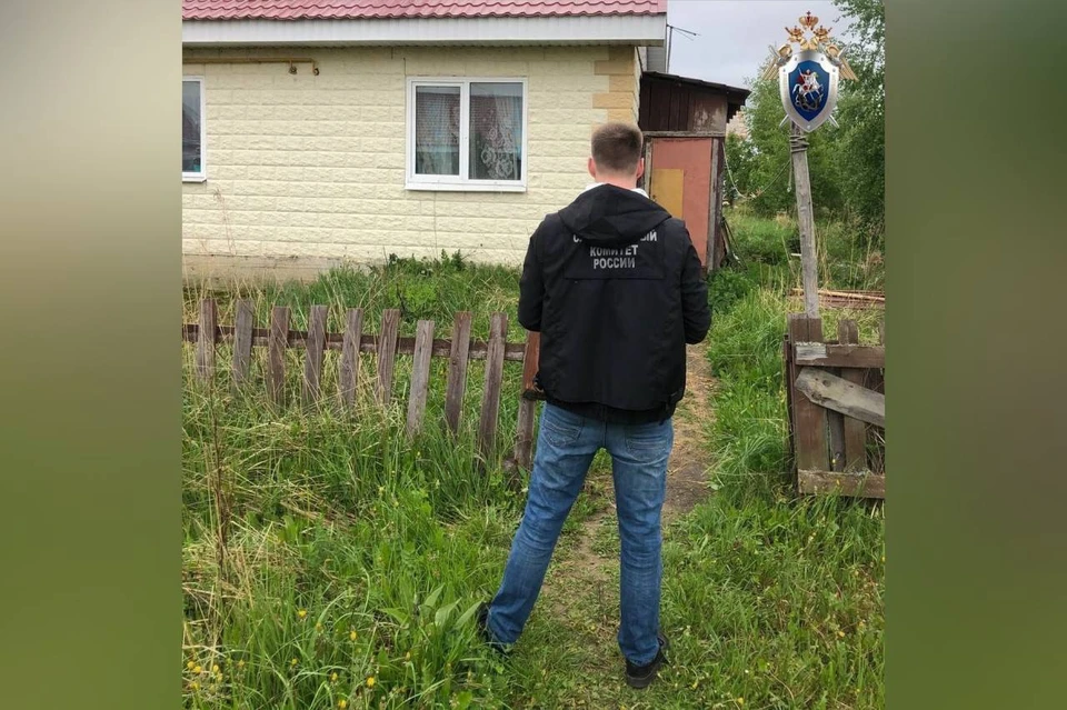 8,5 лет колонии получил житель Богородска за убийство сожительницы. Фото: пресс-служба СУ СКР по Нижегородской области.