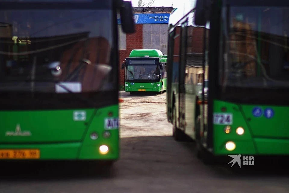 Автобусы вернут на маршруты временно