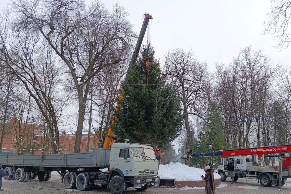Фото: пресс-служба администрации Брянска