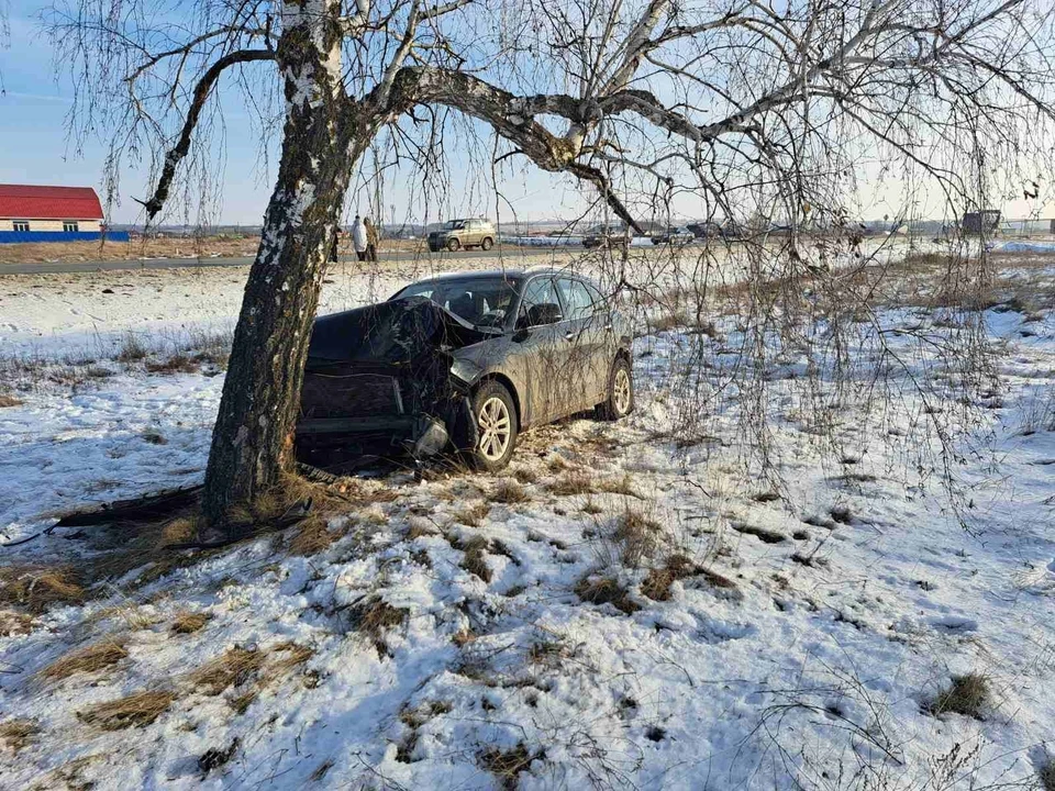 В Балашовском районе иномарка допустила съезд с дороги и врезалась в дерево (Фото: ГИБДД Саратовской области)