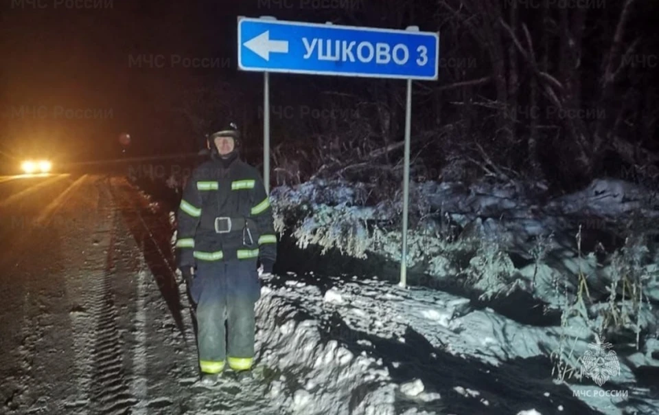 Фото: пресс-служба ГУ МЧС России по Костромской области
