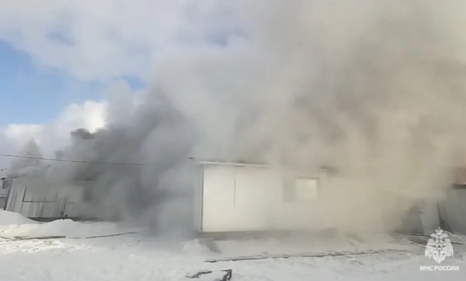 Фото: скриншот видео