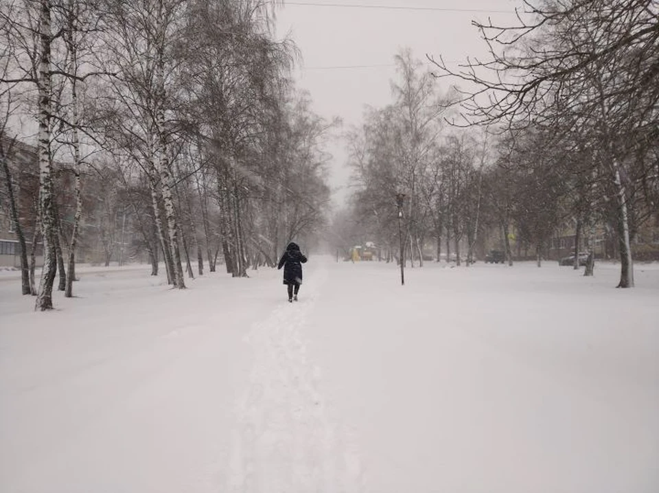 На Курск обрушился снегопад