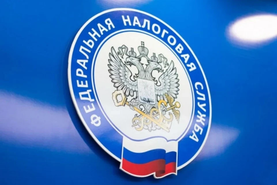 ФНС опровергла взлом налоговой системы украинскими хакерами Фото: пресс-служба ФНС