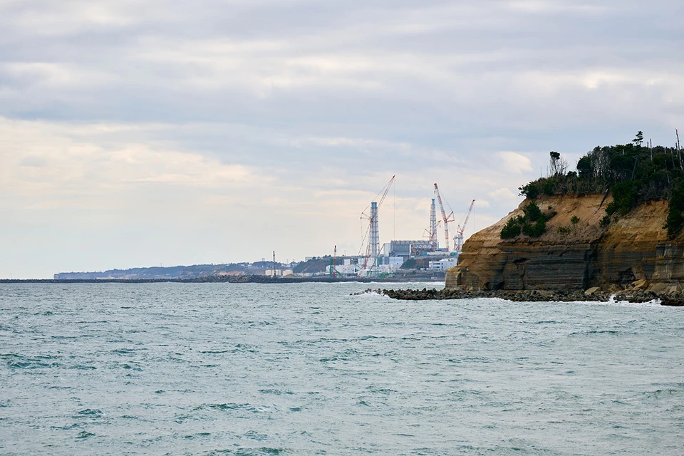 Вместе с тем, западные журналисты выдвинули свою версию, что причиной произошедшего стал сброс загрязненной воды с АЭС «Фукусима-1», которую в 2011 году, в момент аварии, использовали для охлаждения энергоблоков, а затем хранили в специальных резервуарах.