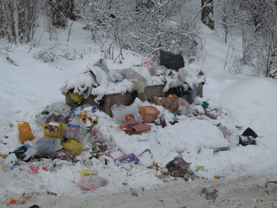 Кучи мусора под кучами снега
