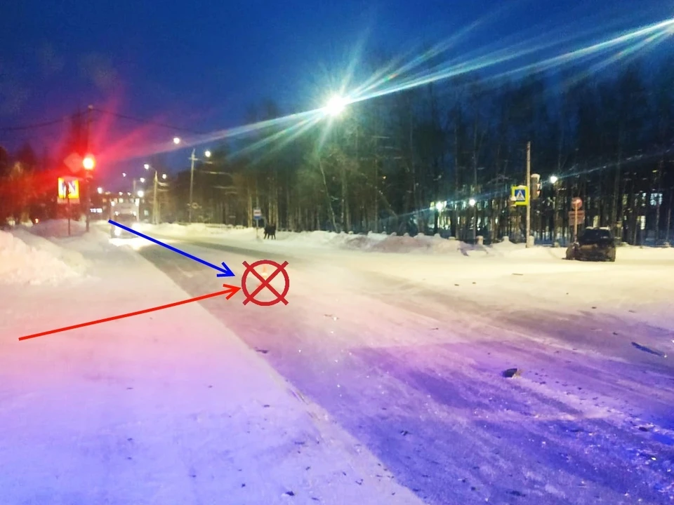 Фото: управление ГИБДД по Коми