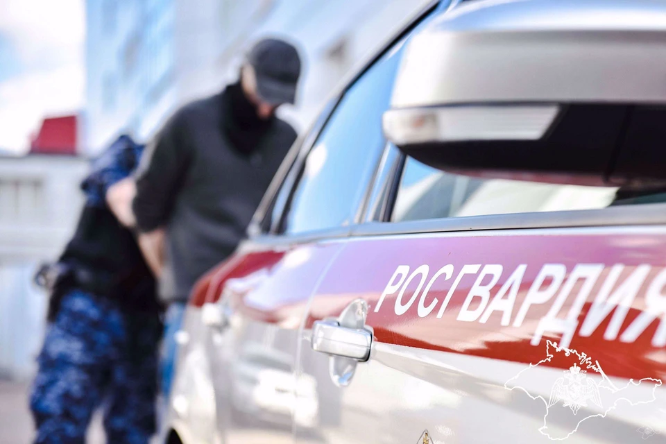 Действиям гражданина будут дана юридическая оценка. Фото: 82.rosguard.gov.ru