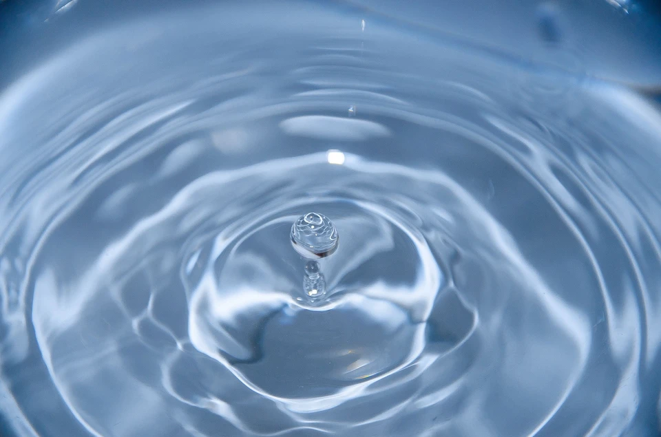 Фото - Unsplash.com