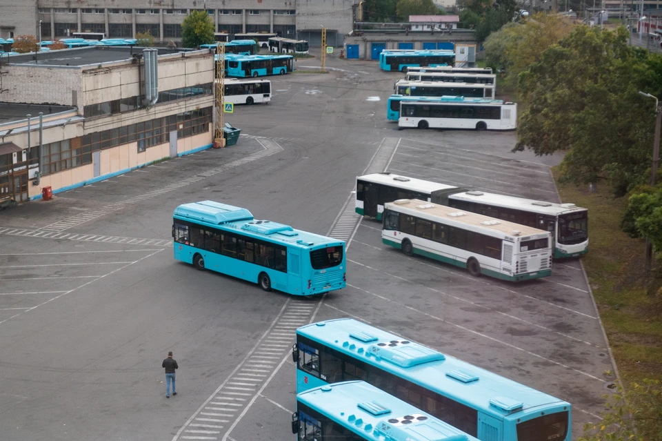 В Петербурге заработают новые автобусные парки.