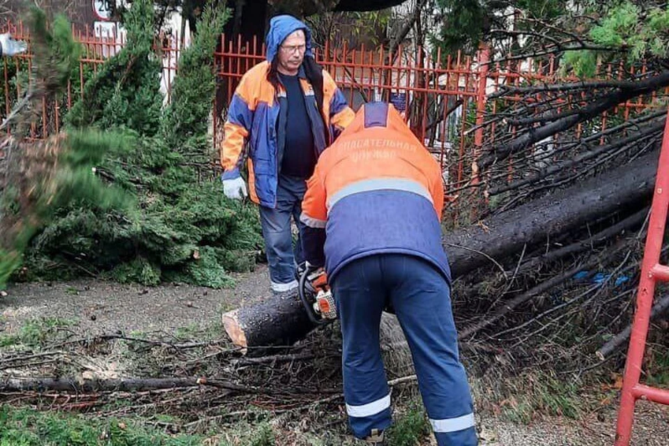 В Туапсе убирают поваленные деревья. Фото: пресс-службы администрации Туапсинского района.