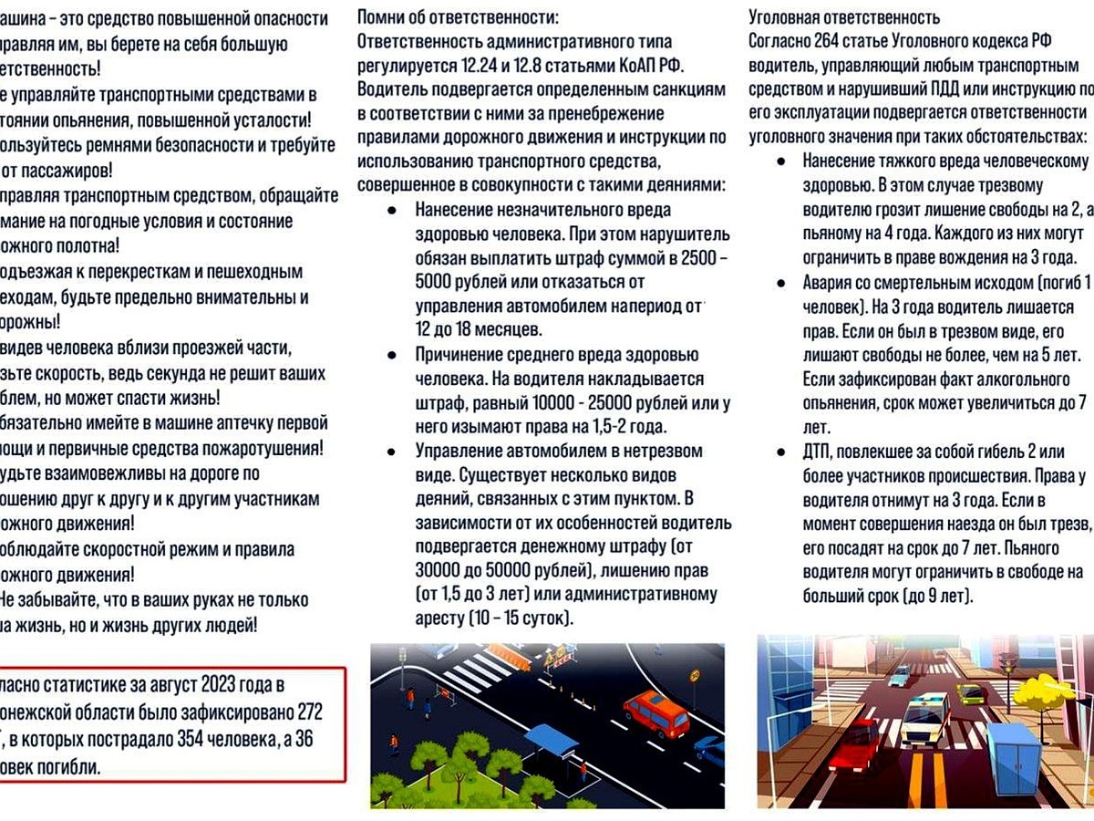 Воронежцам напомнили об ответственности водителя в случае ДТП с  пострадавшими - KP.RU