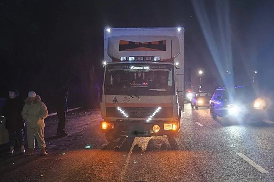 Смертельные ДТП с участием пешеходов произошли в Лутугинском районе и в Луганске. Фото - УГИБДД МВД по ЛНР