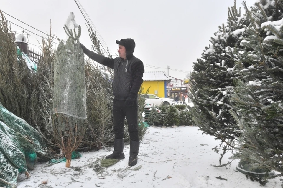Незаконный елочный базар обнаружили в Ленинском районе Нижнего Новгорода.