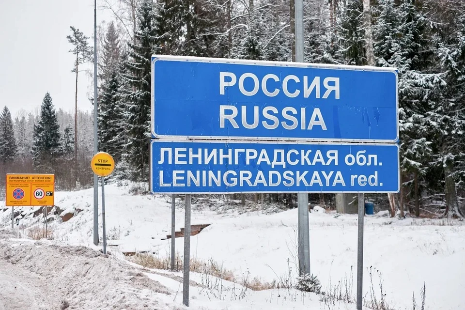 Мигранта отправили под стражу на два месяца за попытку незаконно пересечь границу Ленобласти и Финляндии.