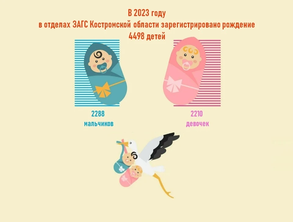 Рождаемость 2023