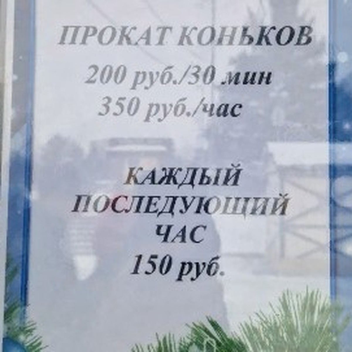 Они старые и тупые»: студентка в Самаре пожаловалась на прокат коньков, в  администрации губернатора приняли меры - KP.RU