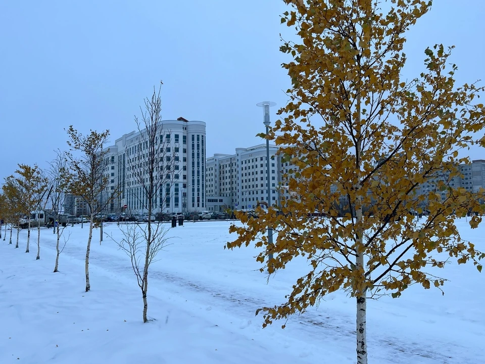 Фото предоставлено КП