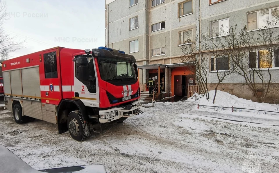 Фото: пресс-служба ГУ МЧС России по Орловской области