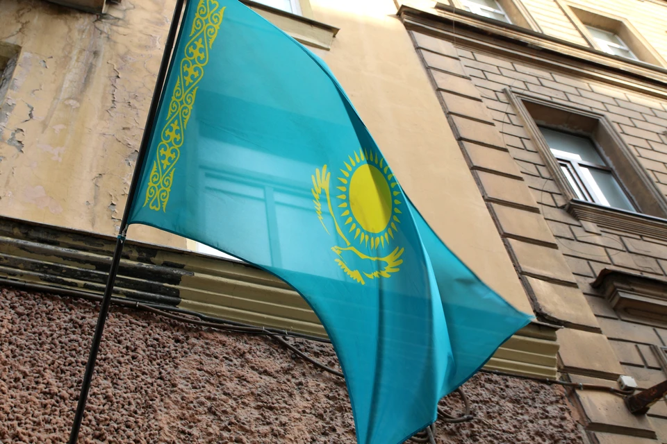 870 лебедей погибли из-за птичьего гриппа на озере Караколь в Казахстане